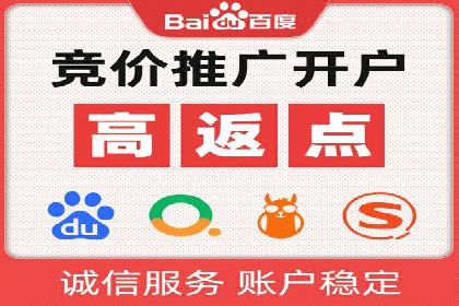 搜索引擎营销（SEM）专员的挑战与机遇